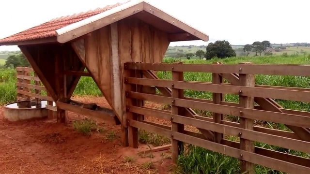 Cocho para sal proteinado: tamanho ideal