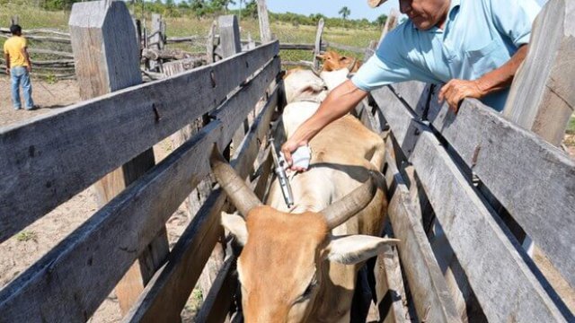 Contrato de trabalho rural