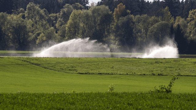 Irrigação de pastagens é método simples para o pasto seco