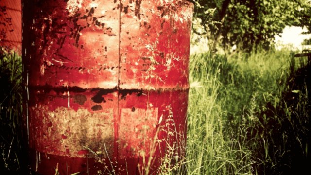 Botulismo bovino: evite mortes no seu rebanho