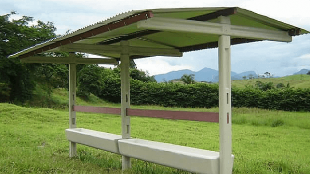 Segredos de manejo do cocho para melhorar os resultados