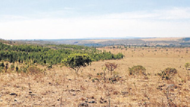 Degradação do solo: saiba como evitar