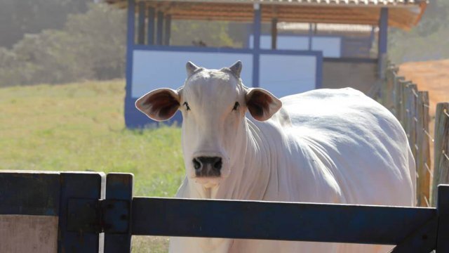 Administração rural: mantenha em dia as finanças da propriedade