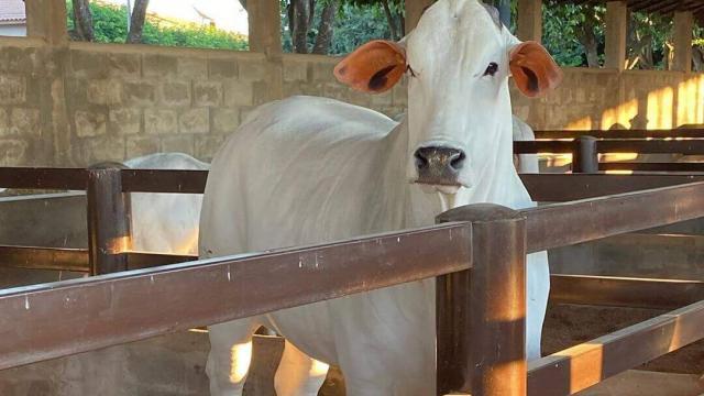 Atividades e rotina do trabalhador rural