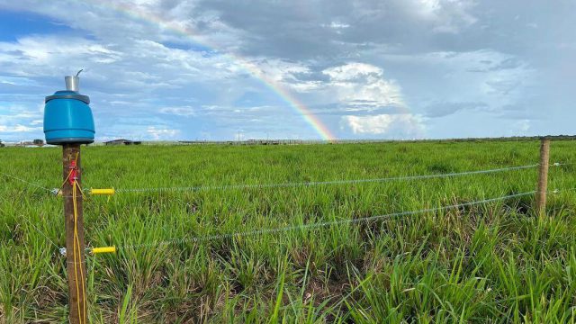 Manutenção de cerca elétrica em propriedade rural