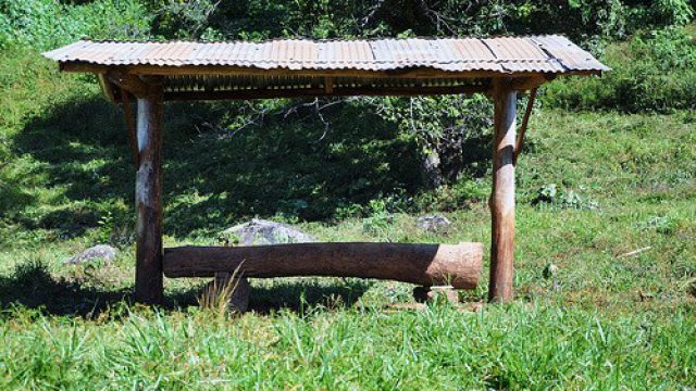 💧 PASTO, IRRIGAÇÃO E SUPLEMENTAÇÃO: AS DECISÕES DA ESTAÇÃO – Notícias 22/07/2026